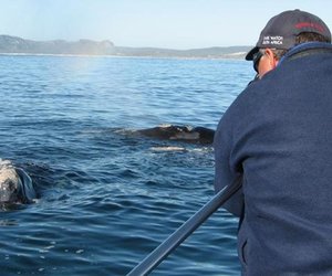 Wilfred Chivell awarded honorary lifetime membership 